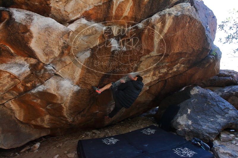 Bouldering in Hueco Tanks on 01/06/2020 with Blue Lizard Climbing and Yoga
Filename: SRM_20200106_1241070.jpg
Aperture: f/5.6
Shutter Speed: 1/320
Body: Canon EOS-1D Mark II
Lens: Canon EF 16-35mm f/2.8 L