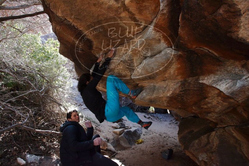 Bouldering in Hueco Tanks on 01/06/2020 with Blue Lizard Climbing and Yoga
Filename: SRM_20200106_1258270.jpg
Aperture: f/6.3
Shutter Speed: 1/250
Body: Canon EOS-1D Mark II
Lens: Canon EF 16-35mm f/2.8 L