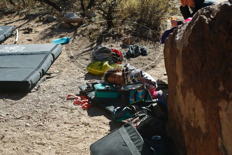 Bouldering in Hueco Tanks on 01/06/2020 with Blue Lizard Climbing and Yoga
Filename: SRM_20200106_1349200.jpg
Aperture: f/5.0
Shutter Speed: 1/400
Body: Canon EOS-1D Mark II
Lens: Canon EF 50mm f/1.8 II