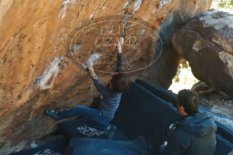 Bouldering in Hueco Tanks on 01/06/2020 with Blue Lizard Climbing and Yoga
Filename: SRM_20200106_1427260.jpg
Aperture: f/3.5
Shutter Speed: 1/320
Body: Canon EOS-1D Mark II
Lens: Canon EF 50mm f/1.8 II
