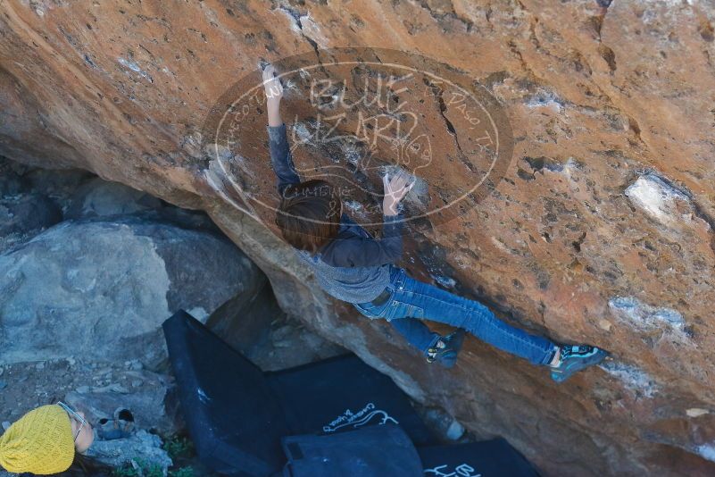 Bouldering in Hueco Tanks on 01/06/2020 with Blue Lizard Climbing and Yoga

Filename: SRM_20200106_1438320.jpg
Aperture: f/4.0
Shutter Speed: 1/320
Body: Canon EOS-1D Mark II
Lens: Canon EF 50mm f/1.8 II