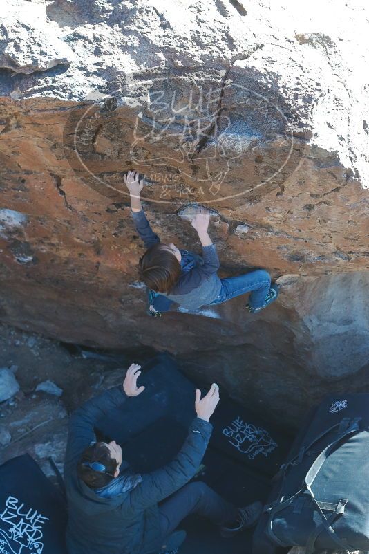 Bouldering in Hueco Tanks on 01/06/2020 with Blue Lizard Climbing and Yoga
Filename: SRM_20200106_1450300.jpg
Aperture: f/4.5
Shutter Speed: 1/320
Body: Canon EOS-1D Mark II
Lens: Canon EF 50mm f/1.8 II