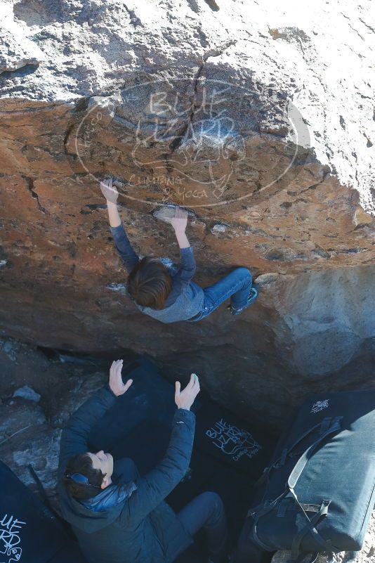 Bouldering in Hueco Tanks on 01/06/2020 with Blue Lizard Climbing and Yoga
Filename: SRM_20200106_1450390.jpg
Aperture: f/5.0
Shutter Speed: 1/320
Body: Canon EOS-1D Mark II
Lens: Canon EF 50mm f/1.8 II