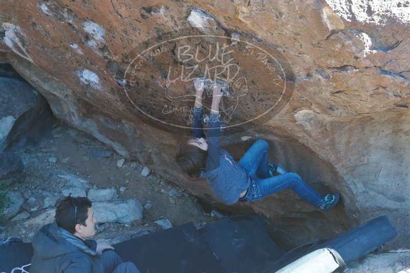 Bouldering in Hueco Tanks on 01/06/2020 with Blue Lizard Climbing and Yoga
Filename: SRM_20200106_1453290.jpg
Aperture: f/4.0
Shutter Speed: 1/320
Body: Canon EOS-1D Mark II
Lens: Canon EF 50mm f/1.8 II