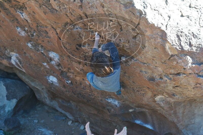Bouldering in Hueco Tanks on 01/06/2020 with Blue Lizard Climbing and Yoga
Filename: SRM_20200106_1453460.jpg
Aperture: f/4.5
Shutter Speed: 1/320
Body: Canon EOS-1D Mark II
Lens: Canon EF 50mm f/1.8 II