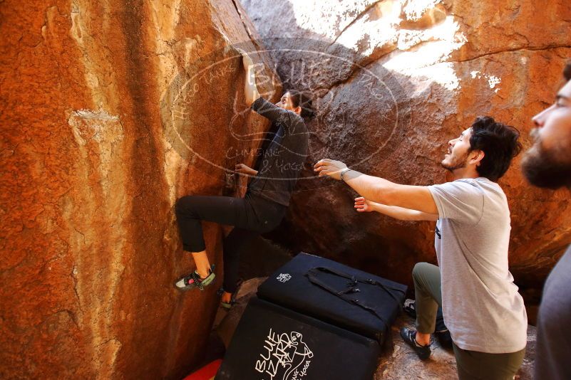 Bouldering in Hueco Tanks on 02/14/2020 with Blue Lizard Climbing and Yoga
Filename: SRM_20200214_1148100.jpg
Aperture: f/2.8
Shutter Speed: 1/250
Body: Canon EOS-1D Mark II
Lens: Canon EF 16-35mm f/2.8 L