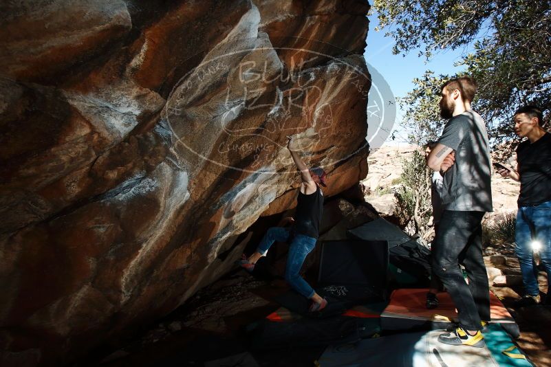 Bouldering in Hueco Tanks on 02/14/2020 with Blue Lizard Climbing and Yoga

Filename: SRM_20200214_1222000.jpg
Aperture: f/8.0
Shutter Speed: 1/250
Body: Canon EOS-1D Mark II
Lens: Canon EF 16-35mm f/2.8 L