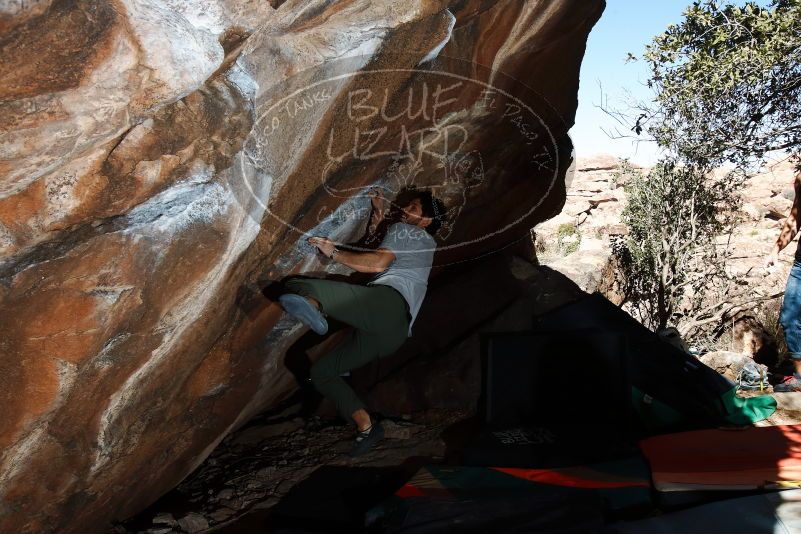 Bouldering in Hueco Tanks on 02/14/2020 with Blue Lizard Climbing and Yoga
Filename: SRM_20200214_1225010.jpg
Aperture: f/8.0
Shutter Speed: 1/250
Body: Canon EOS-1D Mark II
Lens: Canon EF 16-35mm f/2.8 L
