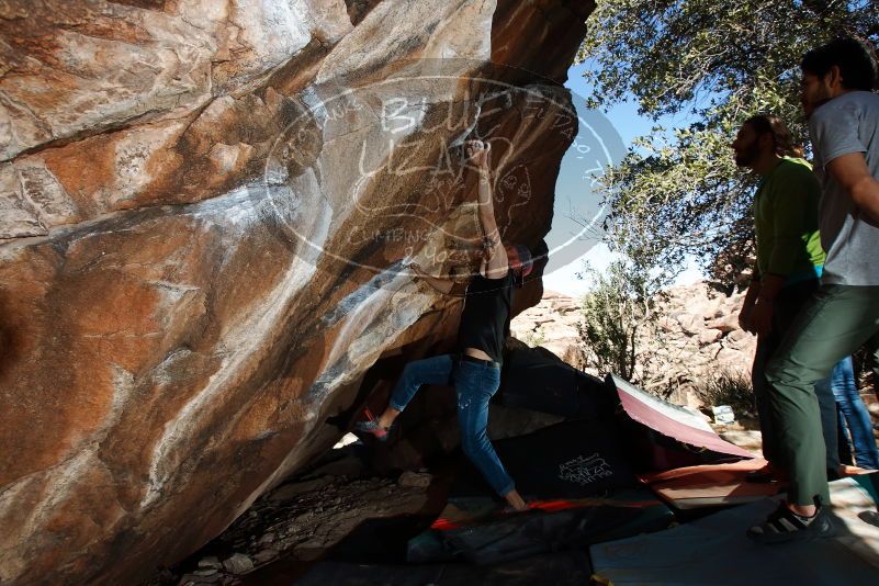 Bouldering in Hueco Tanks on 02/14/2020 with Blue Lizard Climbing and Yoga

Filename: SRM_20200214_1231280.jpg
Aperture: f/8.0
Shutter Speed: 1/250
Body: Canon EOS-1D Mark II
Lens: Canon EF 16-35mm f/2.8 L