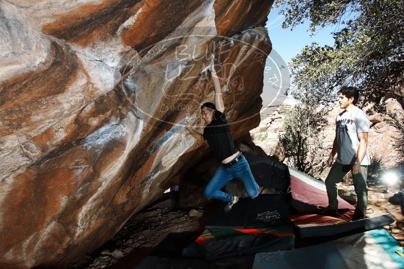 Bouldering in Hueco Tanks on 02/14/2020 with Blue Lizard Climbing and Yoga

Filename: SRM_20200214_1236080.jpg
Aperture: f/8.0
Shutter Speed: 1/250
Body: Canon EOS-1D Mark II
Lens: Canon EF 16-35mm f/2.8 L