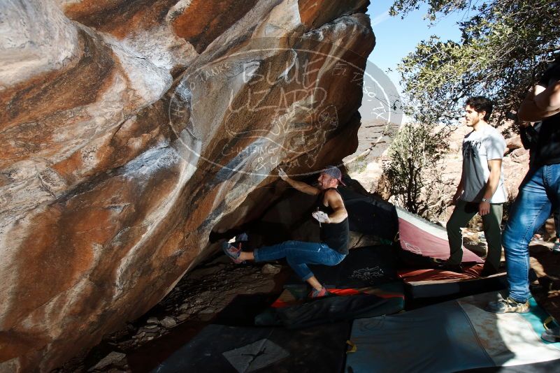 Bouldering in Hueco Tanks on 02/14/2020 with Blue Lizard Climbing and Yoga
Filename: SRM_20200214_1236450.jpg
Aperture: f/8.0
Shutter Speed: 1/250
Body: Canon EOS-1D Mark II
Lens: Canon EF 16-35mm f/2.8 L