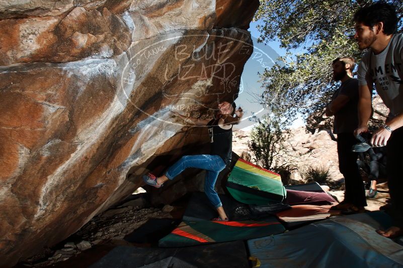 Bouldering in Hueco Tanks on 02/14/2020 with Blue Lizard Climbing and Yoga

Filename: SRM_20200214_1253000.jpg
Aperture: f/8.0
Shutter Speed: 1/250
Body: Canon EOS-1D Mark II
Lens: Canon EF 16-35mm f/2.8 L