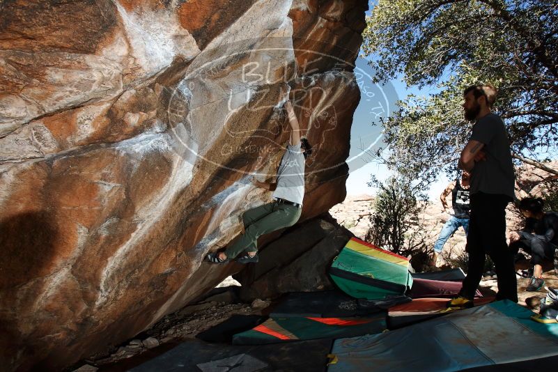 Bouldering in Hueco Tanks on 02/14/2020 with Blue Lizard Climbing and Yoga
Filename: SRM_20200214_1255000.jpg
Aperture: f/8.0
Shutter Speed: 1/250
Body: Canon EOS-1D Mark II
Lens: Canon EF 16-35mm f/2.8 L