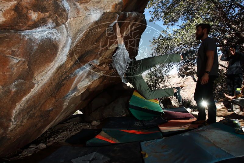 Bouldering in Hueco Tanks on 02/14/2020 with Blue Lizard Climbing and Yoga
Filename: SRM_20200214_1300221.jpg
Aperture: f/8.0
Shutter Speed: 1/250
Body: Canon EOS-1D Mark II
Lens: Canon EF 16-35mm f/2.8 L