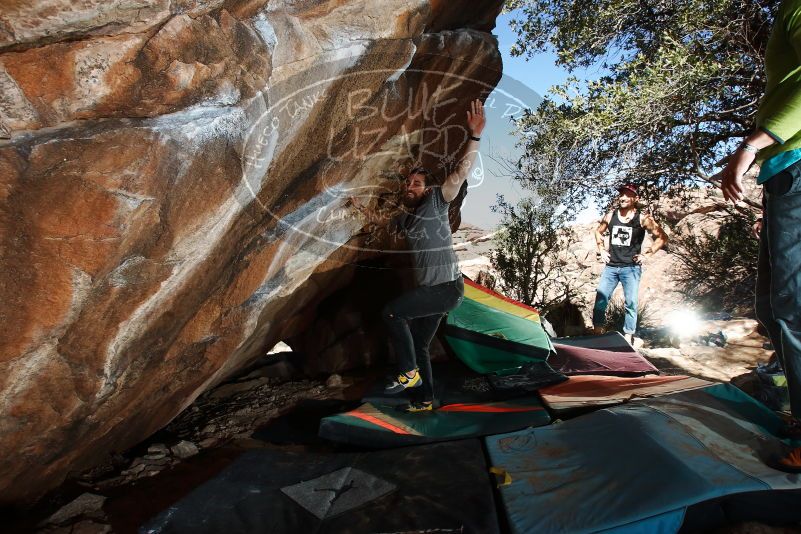 Bouldering in Hueco Tanks on 02/14/2020 with Blue Lizard Climbing and Yoga
Filename: SRM_20200214_1302110.jpg
Aperture: f/8.0
Shutter Speed: 1/250
Body: Canon EOS-1D Mark II
Lens: Canon EF 16-35mm f/2.8 L
