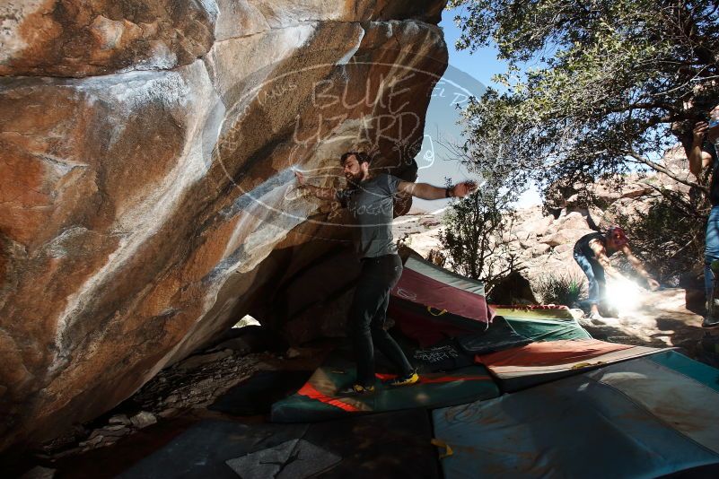 Bouldering in Hueco Tanks on 02/14/2020 with Blue Lizard Climbing and Yoga
Filename: SRM_20200214_1307500.jpg
Aperture: f/8.0
Shutter Speed: 1/250
Body: Canon EOS-1D Mark II
Lens: Canon EF 16-35mm f/2.8 L