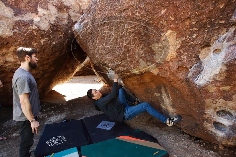 Bouldering in Hueco Tanks on 02/14/2020 with Blue Lizard Climbing and Yoga
Filename: SRM_20200214_1445190.jpg
Aperture: f/5.0
Shutter Speed: 1/320
Body: Canon EOS-1D Mark II
Lens: Canon EF 16-35mm f/2.8 L