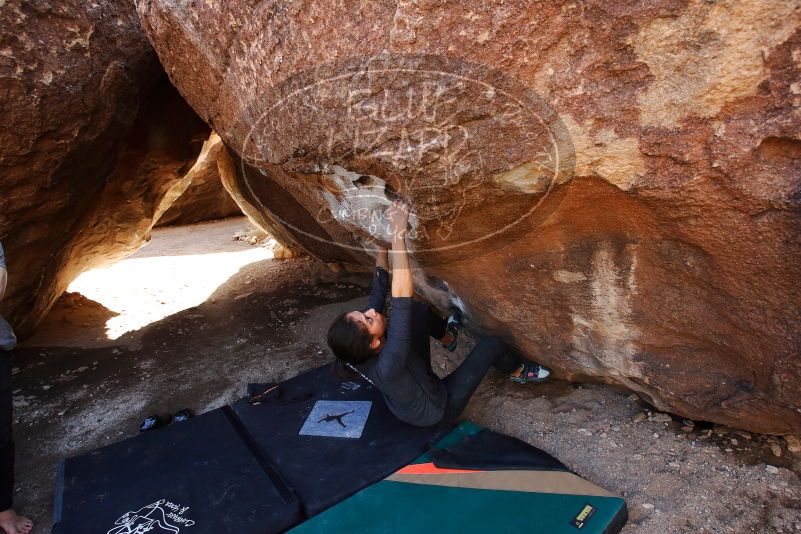 Bouldering in Hueco Tanks on 02/14/2020 with Blue Lizard Climbing and Yoga
Filename: SRM_20200214_1455021.jpg
Aperture: f/5.0
Shutter Speed: 1/250
Body: Canon EOS-1D Mark II
Lens: Canon EF 16-35mm f/2.8 L