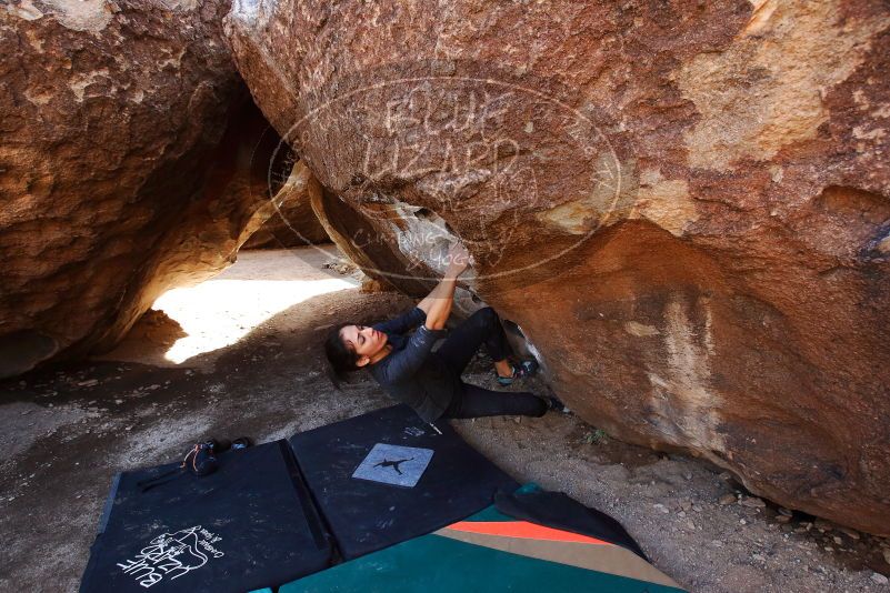 Bouldering in Hueco Tanks on 02/14/2020 with Blue Lizard Climbing and Yoga
Filename: SRM_20200214_1501170.jpg
Aperture: f/5.0
Shutter Speed: 1/250
Body: Canon EOS-1D Mark II
Lens: Canon EF 16-35mm f/2.8 L