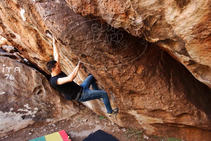 Bouldering in Hueco Tanks on 02/14/2020 with Blue Lizard Climbing and Yoga
Filename: SRM_20200214_1526370.jpg
Aperture: f/3.5
Shutter Speed: 1/250
Body: Canon EOS-1D Mark II
Lens: Canon EF 16-35mm f/2.8 L