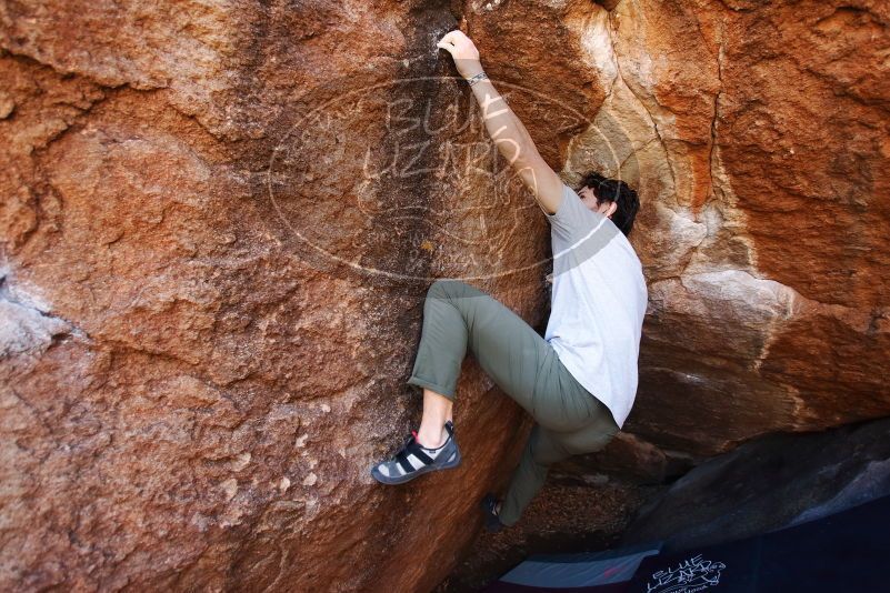 Bouldering in Hueco Tanks on 02/14/2020 with Blue Lizard Climbing and Yoga
Filename: SRM_20200214_1559570.jpg
Aperture: f/4.0
Shutter Speed: 1/250
Body: Canon EOS-1D Mark II
Lens: Canon EF 16-35mm f/2.8 L