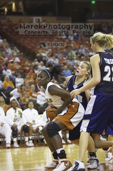 The lady longhorns defeated the Oral Roberts University's (ORU) Golden Eagles 79-40 Saturday night.
Filename: SRM_20061125_1358326.jpg
Aperture: f/2.8
Shutter Speed: 1/400
Body: Canon EOS-1D Mark II
Lens: Canon EF 80-200mm f/2.8 L