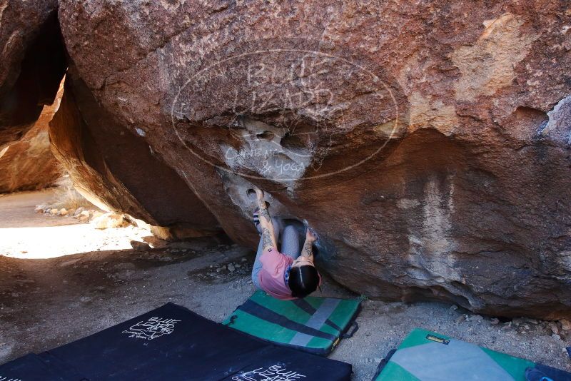Bouldering in Hueco Tanks on 02/16/2020 with Blue Lizard Climbing and Yoga

Filename: SRM_20200216_1046070.jpg
Aperture: f/5.0
Shutter Speed: 1/250
Body: Canon EOS-1D Mark II
Lens: Canon EF 16-35mm f/2.8 L