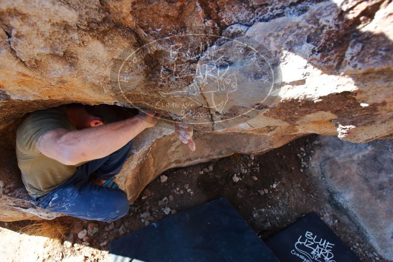 Bouldering in Hueco Tanks on 02/16/2020 with Blue Lizard Climbing and Yoga

Filename: SRM_20200216_1105560.jpg
Aperture: f/5.0
Shutter Speed: 1/200
Body: Canon EOS-1D Mark II
Lens: Canon EF 16-35mm f/2.8 L