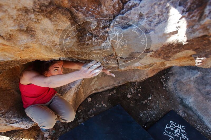 Bouldering in Hueco Tanks on 02/16/2020 with Blue Lizard Climbing and Yoga

Filename: SRM_20200216_1106590.jpg
Aperture: f/4.5
Shutter Speed: 1/250
Body: Canon EOS-1D Mark II
Lens: Canon EF 16-35mm f/2.8 L
