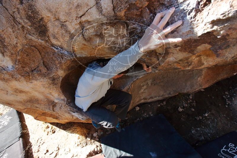 Bouldering in Hueco Tanks on 02/16/2020 with Blue Lizard Climbing and Yoga
Filename: SRM_20200216_1109180.jpg
Aperture: f/5.0
Shutter Speed: 1/250
Body: Canon EOS-1D Mark II
Lens: Canon EF 16-35mm f/2.8 L