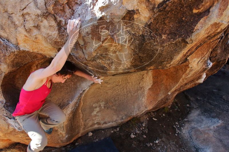 Bouldering in Hueco Tanks on 02/16/2020 with Blue Lizard Climbing and Yoga

Filename: SRM_20200216_1111590.jpg
Aperture: f/4.0
Shutter Speed: 1/250
Body: Canon EOS-1D Mark II
Lens: Canon EF 16-35mm f/2.8 L