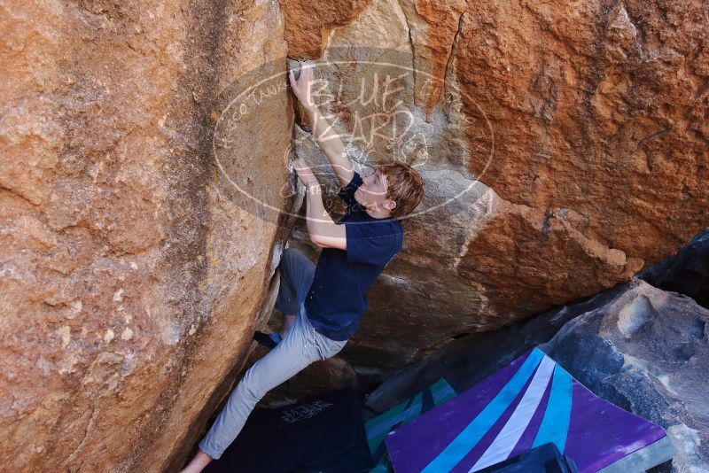 Bouldering in Hueco Tanks on 02/16/2020 with Blue Lizard Climbing and Yoga

Filename: SRM_20200216_1120350.jpg
Aperture: f/5.0
Shutter Speed: 1/250
Body: Canon EOS-1D Mark II
Lens: Canon EF 16-35mm f/2.8 L