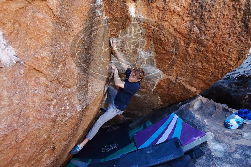 Bouldering in Hueco Tanks on 02/16/2020 with Blue Lizard Climbing and Yoga

Filename: SRM_20200216_1120360.jpg
Aperture: f/5.0
Shutter Speed: 1/250
Body: Canon EOS-1D Mark II
Lens: Canon EF 16-35mm f/2.8 L