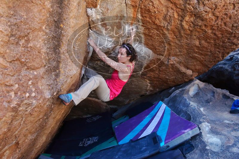 Bouldering in Hueco Tanks on 02/16/2020 with Blue Lizard Climbing and Yoga

Filename: SRM_20200216_1126150.jpg
Aperture: f/4.5
Shutter Speed: 1/320
Body: Canon EOS-1D Mark II
Lens: Canon EF 16-35mm f/2.8 L