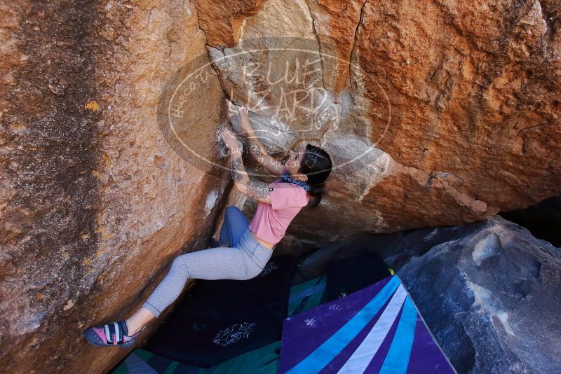 Bouldering in Hueco Tanks on 02/16/2020 with Blue Lizard Climbing and Yoga

Filename: SRM_20200216_1129390.jpg
Aperture: f/5.0
Shutter Speed: 1/250
Body: Canon EOS-1D Mark II
Lens: Canon EF 16-35mm f/2.8 L
