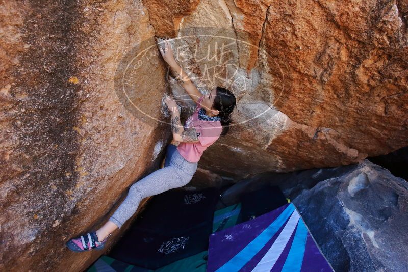 Bouldering in Hueco Tanks on 02/16/2020 with Blue Lizard Climbing and Yoga

Filename: SRM_20200216_1129391.jpg
Aperture: f/5.0
Shutter Speed: 1/250
Body: Canon EOS-1D Mark II
Lens: Canon EF 16-35mm f/2.8 L