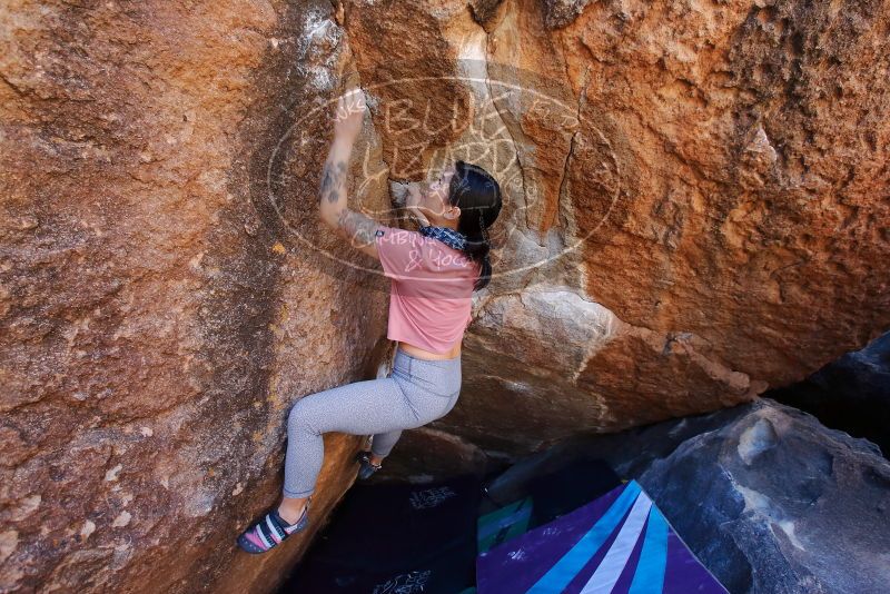 Bouldering in Hueco Tanks on 02/16/2020 with Blue Lizard Climbing and Yoga

Filename: SRM_20200216_1129430.jpg
Aperture: f/5.0
Shutter Speed: 1/250
Body: Canon EOS-1D Mark II
Lens: Canon EF 16-35mm f/2.8 L