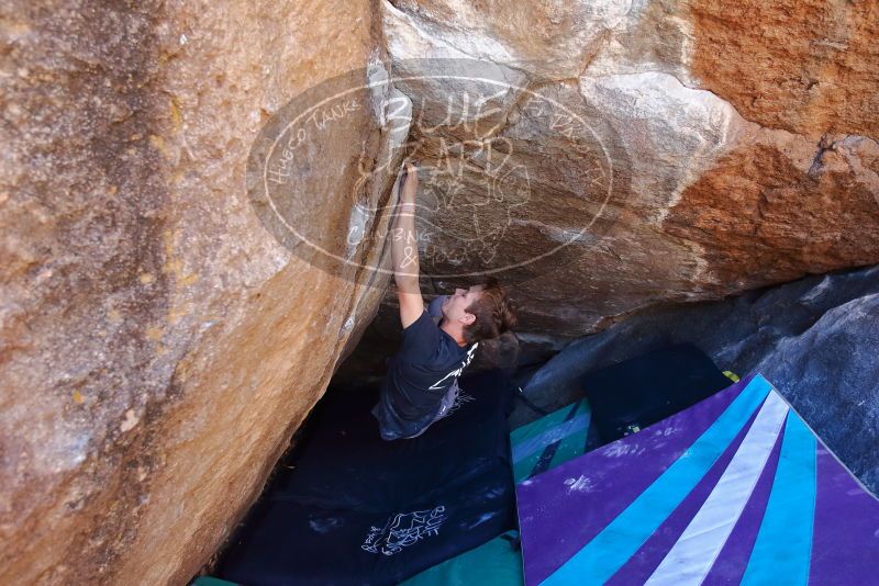 Bouldering in Hueco Tanks on 02/16/2020 with Blue Lizard Climbing and Yoga
Filename: SRM_20200216_1130420.jpg
Aperture: f/4.5
Shutter Speed: 1/250
Body: Canon EOS-1D Mark II
Lens: Canon EF 16-35mm f/2.8 L