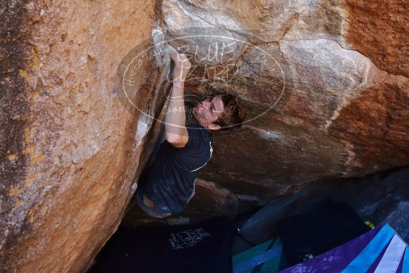 Bouldering in Hueco Tanks on 02/16/2020 with Blue Lizard Climbing and Yoga
Filename: SRM_20200216_1130490.jpg
Aperture: f/5.0
Shutter Speed: 1/250
Body: Canon EOS-1D Mark II
Lens: Canon EF 16-35mm f/2.8 L