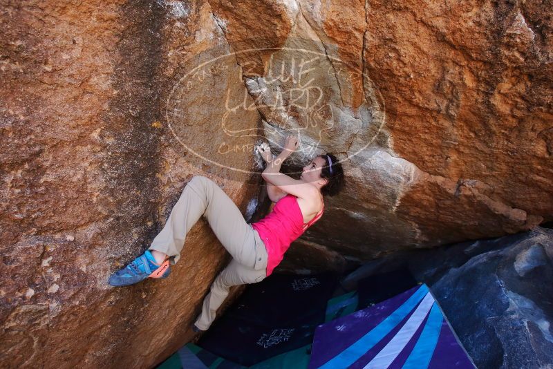 Bouldering in Hueco Tanks on 02/16/2020 with Blue Lizard Climbing and Yoga
Filename: SRM_20200216_1132370.jpg
Aperture: f/5.6
Shutter Speed: 1/250
Body: Canon EOS-1D Mark II
Lens: Canon EF 16-35mm f/2.8 L
