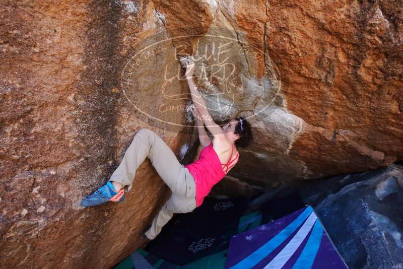 Bouldering in Hueco Tanks on 02/16/2020 with Blue Lizard Climbing and Yoga

Filename: SRM_20200216_1132380.jpg
Aperture: f/5.6
Shutter Speed: 1/250
Body: Canon EOS-1D Mark II
Lens: Canon EF 16-35mm f/2.8 L