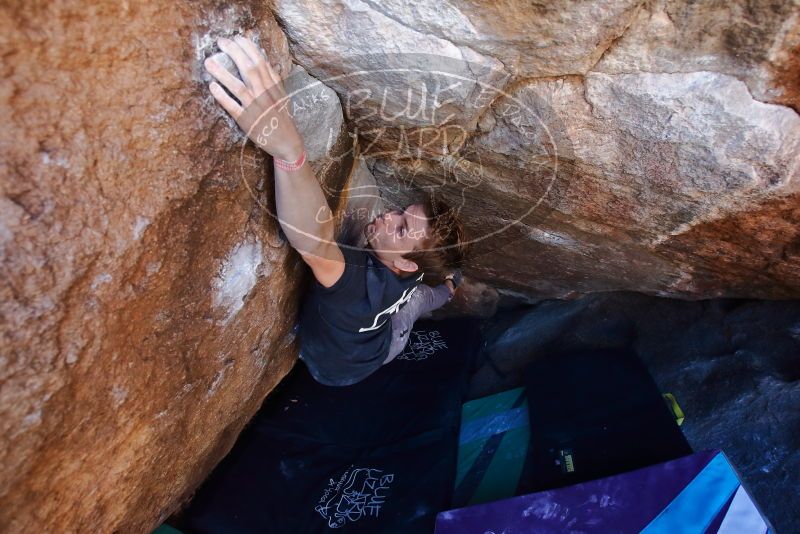 Bouldering in Hueco Tanks on 02/16/2020 with Blue Lizard Climbing and Yoga

Filename: SRM_20200216_1134330.jpg
Aperture: f/4.5
Shutter Speed: 1/250
Body: Canon EOS-1D Mark II
Lens: Canon EF 16-35mm f/2.8 L