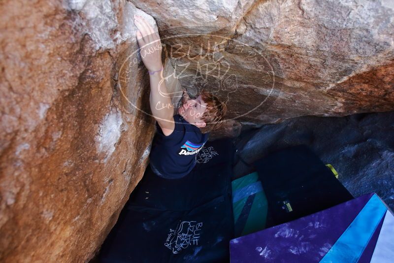 Bouldering in Hueco Tanks on 02/16/2020 with Blue Lizard Climbing and Yoga

Filename: SRM_20200216_1135020.jpg
Aperture: f/4.0
Shutter Speed: 1/250
Body: Canon EOS-1D Mark II
Lens: Canon EF 16-35mm f/2.8 L