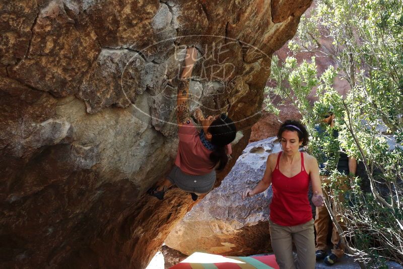Bouldering in Hueco Tanks on 02/16/2020 with Blue Lizard Climbing and Yoga
Filename: SRM_20200216_1152580.jpg
Aperture: f/5.6
Shutter Speed: 1/250
Body: Canon EOS-1D Mark II
Lens: Canon EF 16-35mm f/2.8 L