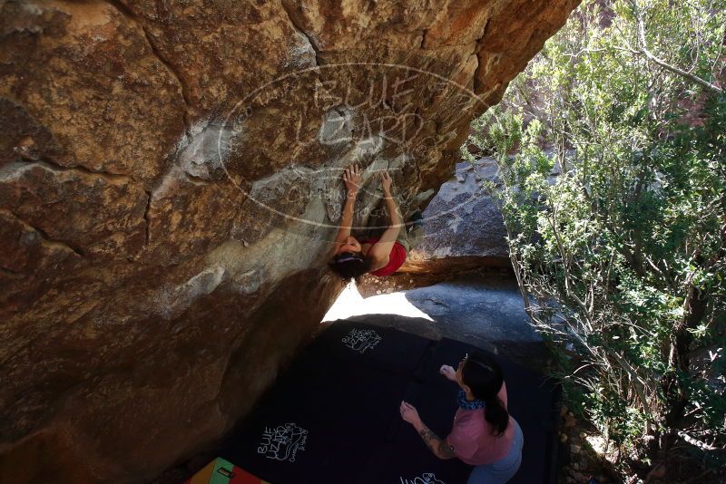 Bouldering in Hueco Tanks on 02/16/2020 with Blue Lizard Climbing and Yoga
Filename: SRM_20200216_1153570.jpg
Aperture: f/5.6
Shutter Speed: 1/250
Body: Canon EOS-1D Mark II
Lens: Canon EF 16-35mm f/2.8 L