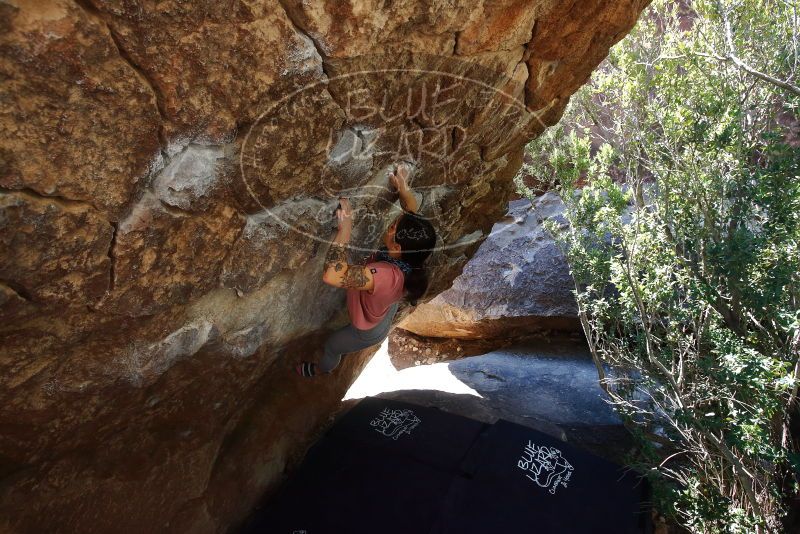 Bouldering in Hueco Tanks on 02/16/2020 with Blue Lizard Climbing and Yoga
Filename: SRM_20200216_1154410.jpg
Aperture: f/5.6
Shutter Speed: 1/250
Body: Canon EOS-1D Mark II
Lens: Canon EF 16-35mm f/2.8 L