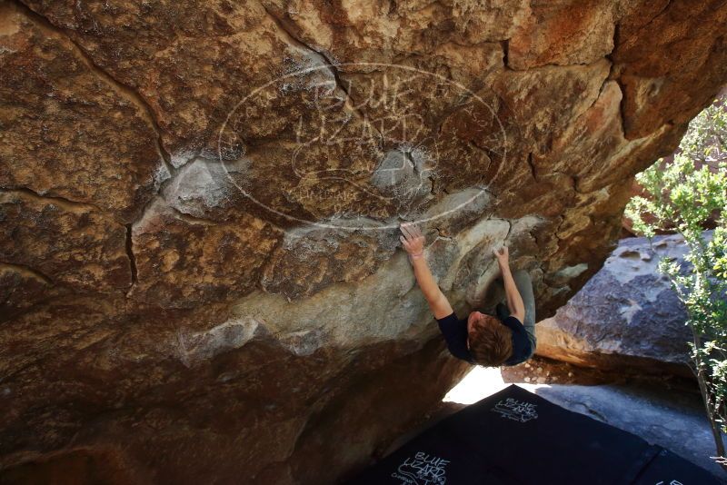 Bouldering in Hueco Tanks on 02/16/2020 with Blue Lizard Climbing and Yoga

Filename: SRM_20200216_1201350.jpg
Aperture: f/5.6
Shutter Speed: 1/250
Body: Canon EOS-1D Mark II
Lens: Canon EF 16-35mm f/2.8 L