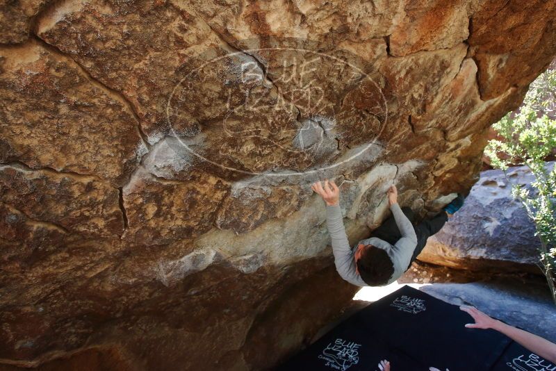 Bouldering in Hueco Tanks on 02/16/2020 with Blue Lizard Climbing and Yoga

Filename: SRM_20200216_1203411.jpg
Aperture: f/5.0
Shutter Speed: 1/250
Body: Canon EOS-1D Mark II
Lens: Canon EF 16-35mm f/2.8 L