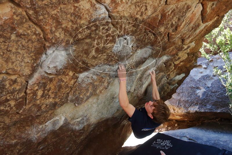 Bouldering in Hueco Tanks on 02/16/2020 with Blue Lizard Climbing and Yoga
Filename: SRM_20200216_1204260.jpg
Aperture: f/5.0
Shutter Speed: 1/250
Body: Canon EOS-1D Mark II
Lens: Canon EF 16-35mm f/2.8 L