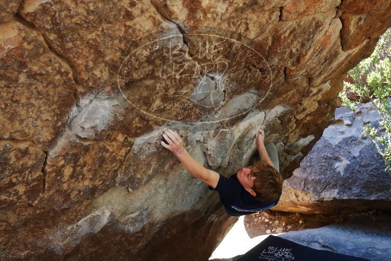 Bouldering in Hueco Tanks on 02/16/2020 with Blue Lizard Climbing and Yoga
Filename: SRM_20200216_1204290.jpg
Aperture: f/5.0
Shutter Speed: 1/250
Body: Canon EOS-1D Mark II
Lens: Canon EF 16-35mm f/2.8 L